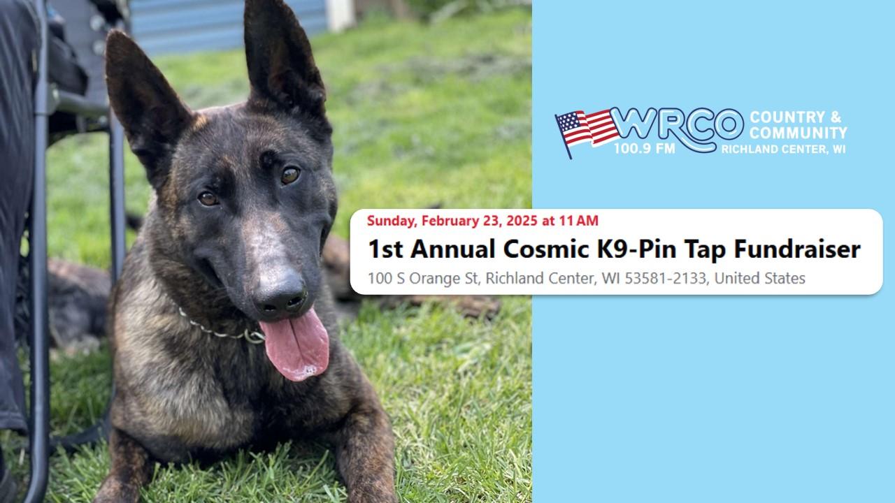 Cosmic K9-Pin Tap Fundraiser