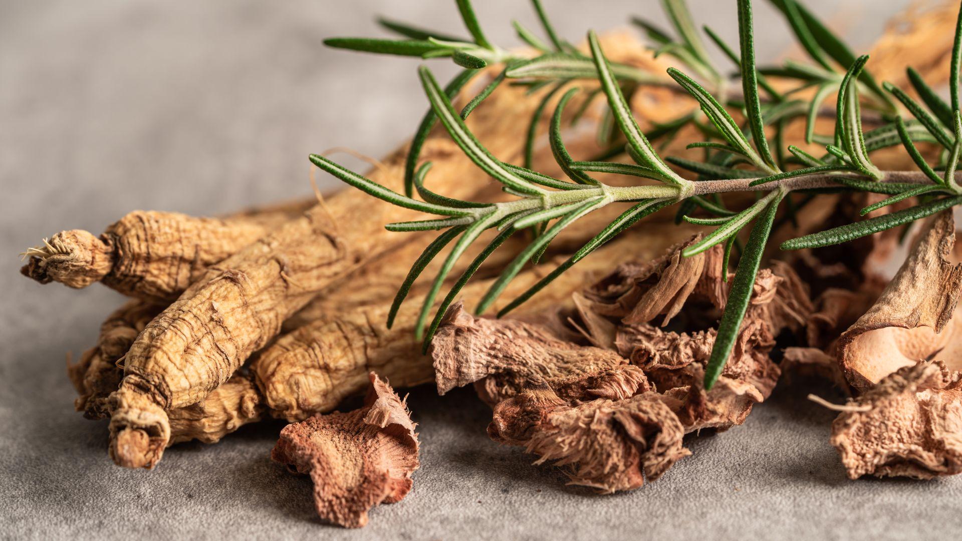 Wisconsin Ginseng Farmers Losing Buyers due to 117% Tariffs