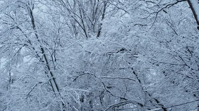 Cancellations and Delays