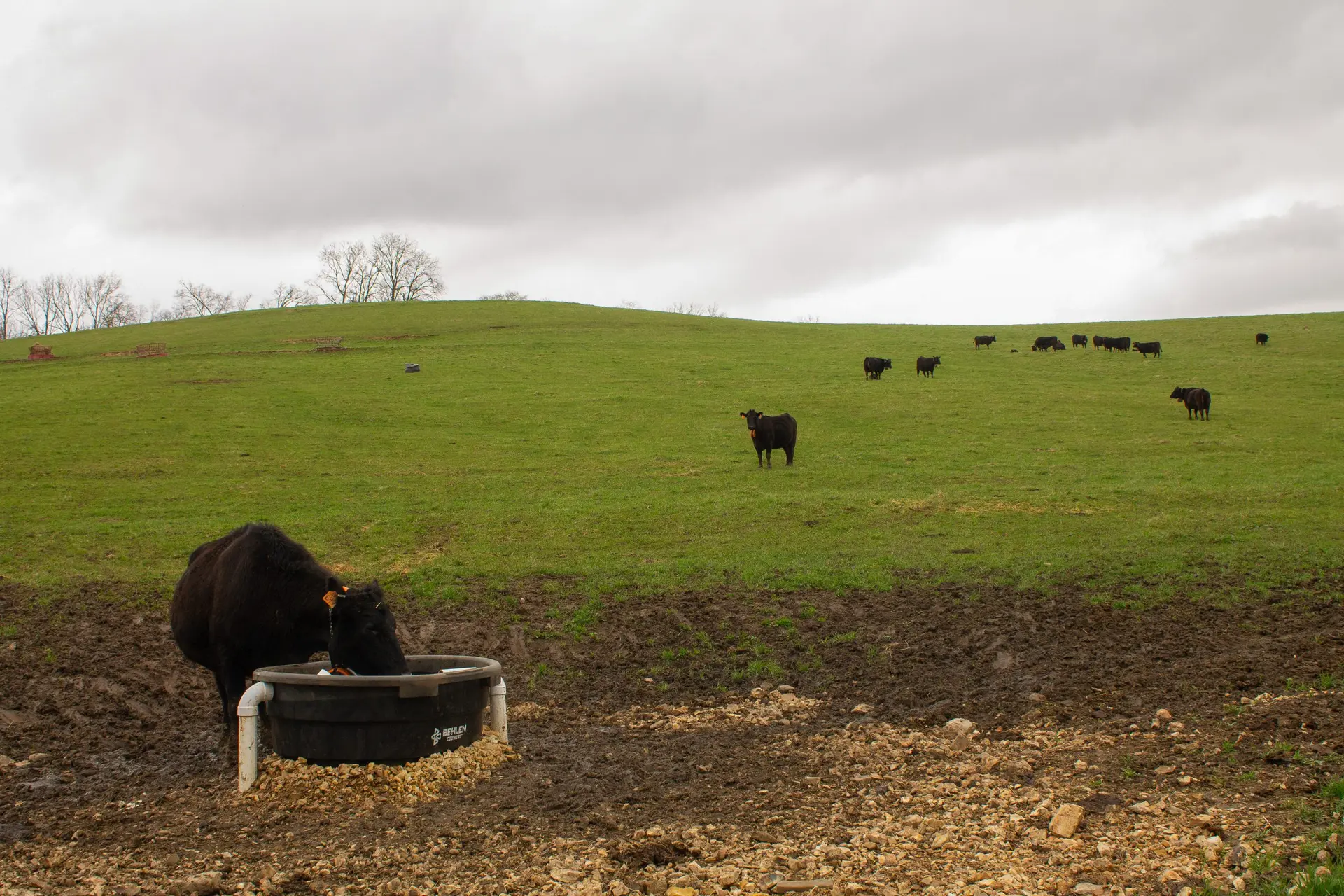 How one program is working to bring Corn Belt farmers together for conservation agriculture